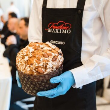 Panettone Maximo: A Celebration of Artisan Panettone at Its Finest